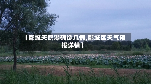 【郾城天鹅湖确诊几例,郾城区天气预报详情】