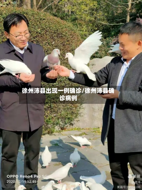 徐州沛县出现一例确诊/徐州沛县确诊病例