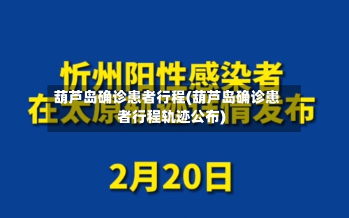 葫芦岛确诊患者行程(葫芦岛确诊患者行程轨迹公布)-第3张图片