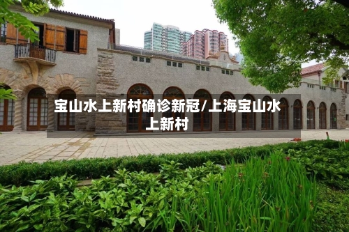 宝山水上新村确诊新冠/上海宝山水上新村-第2张图片