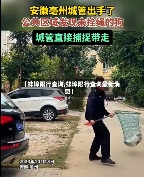 【蚌埠限行查询,蚌埠限行查询最新消息】