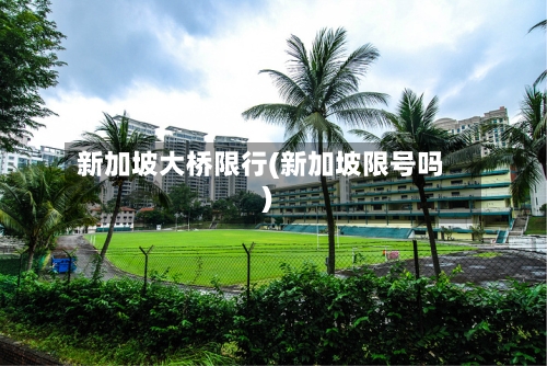 新加坡大桥限行(新加坡限号吗)