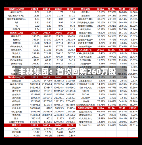丰林集团：首次回购260万股-第2张图片