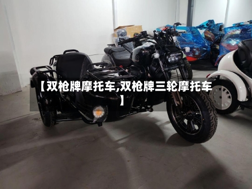 【双枪牌摩托车,双枪牌三轮摩托车】-第2张图片