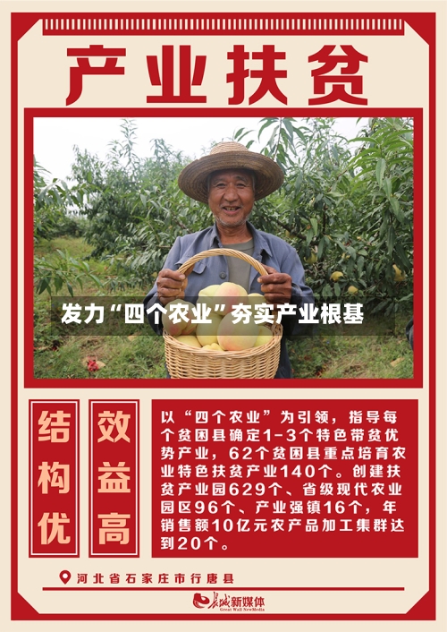 发力“四个农业”夯实产业根基-第2张图片