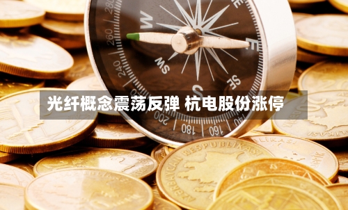 光纤概念震荡反弹 杭电股份涨停-第2张图片