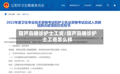 葫芦岛确诊护士工资/葫芦岛确诊护士工资怎么样