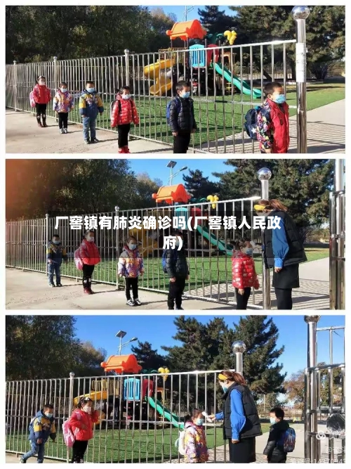 厂窖镇有肺炎确诊吗(厂窖镇人民政府)-第2张图片