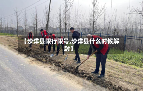 【沙洋县限行限号,沙洋县什么时候解封】