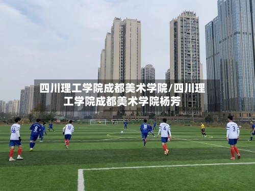 四川理工学院成都美术学院/四川理工学院成都美术学院杨芳-第2张图片