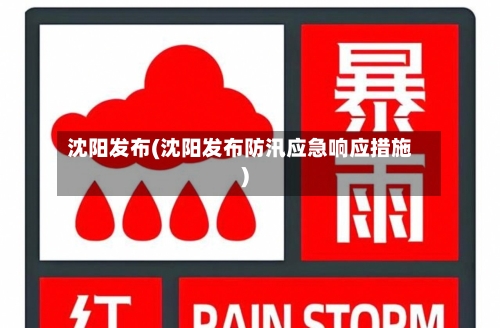 沈阳发布(沈阳发布防汛应急响应措施)-第2张图片