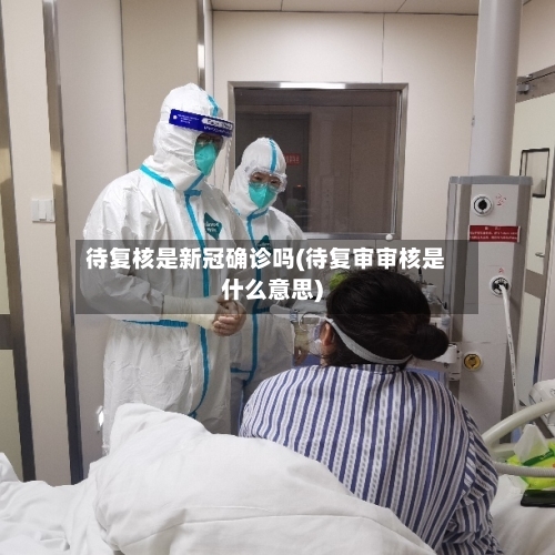 待复核是新冠确诊吗(待复审审核是什么意思)-第2张图片