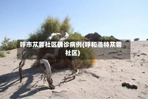 呼市苁蓉社区确诊病例(呼和浩特苁蓉社区)