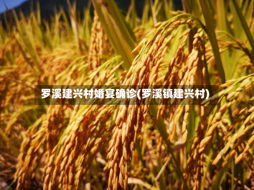 罗溪建兴村婚宴确诊(罗溪镇建兴村)