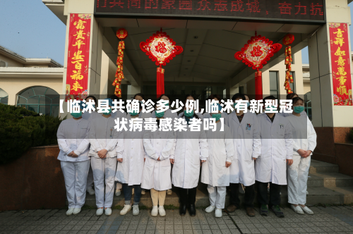 【临沭县共确诊多少例,临沭有新型冠状病毒感染者吗】