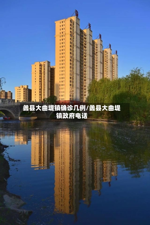 蠡县大曲堤镇确诊几例/蠡县大曲堤镇政府电话-第2张图片