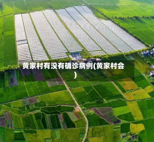 黄家村有没有确诊病例(黄家村会)