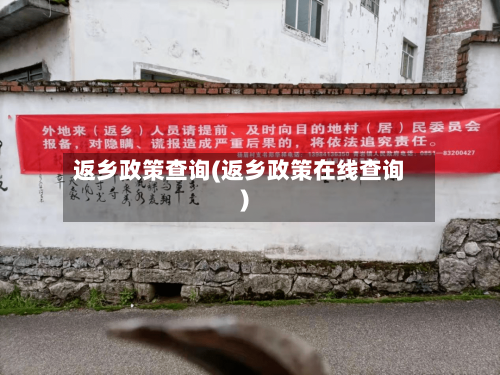 返乡政策查询(返乡政策在线查询)-第2张图片