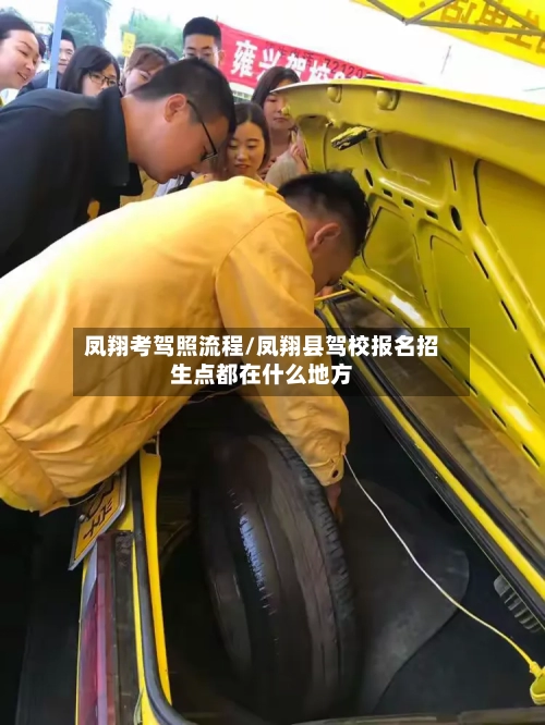 凤翔考驾照流程/凤翔县驾校报名招生点都在什么地方
