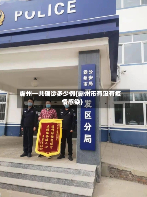 霸州一共确诊多少例(霸州市有没有疫情感染)-第3张图片