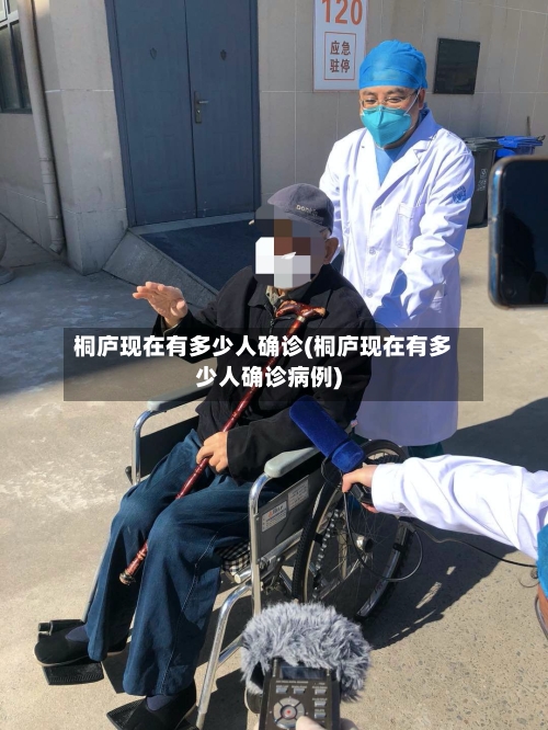 桐庐现在有多少人确诊(桐庐现在有多少人确诊病例)-第3张图片
