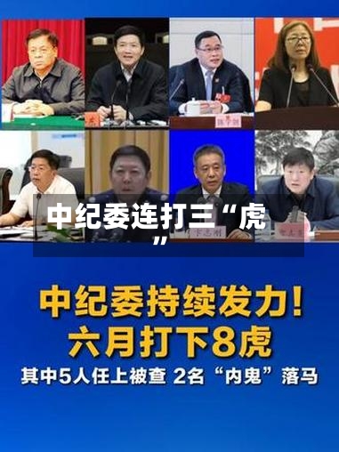 中纪委连打三“虎”