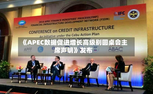《APEC数据促进增长高级别圆桌会主席声明》发布-第2张图片