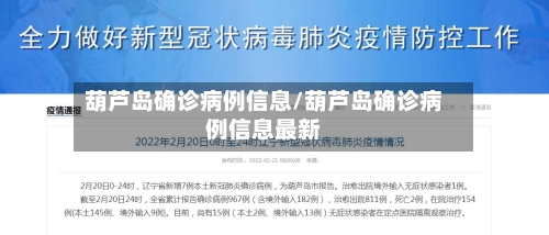 葫芦岛确诊病例信息/葫芦岛确诊病例信息最新-第3张图片