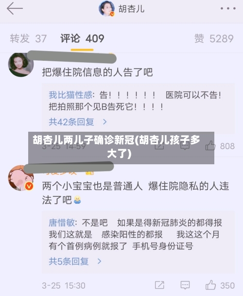 胡杏儿两儿子确诊新冠(胡杏儿孩子多大了)-第2张图片