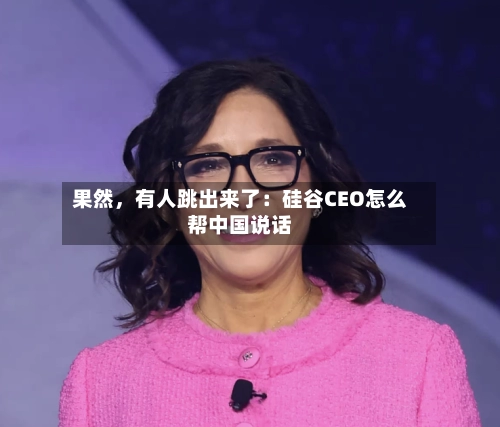 果然	，有人跳出来了：硅谷CEO怎么帮中国说话-第2张图片