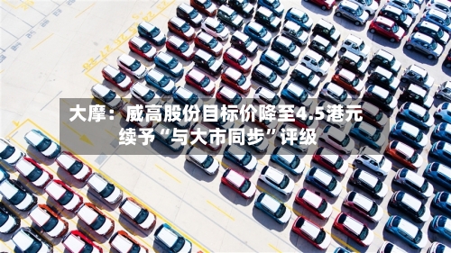 大摩：威高股份目标价降至4.5港元 续予“与大市同步	”评级-第1张图片