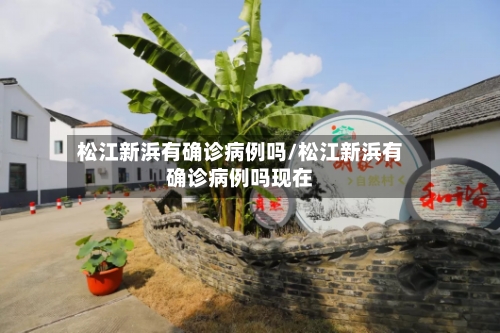 松江新浜有确诊病例吗/松江新浜有确诊病例吗现在