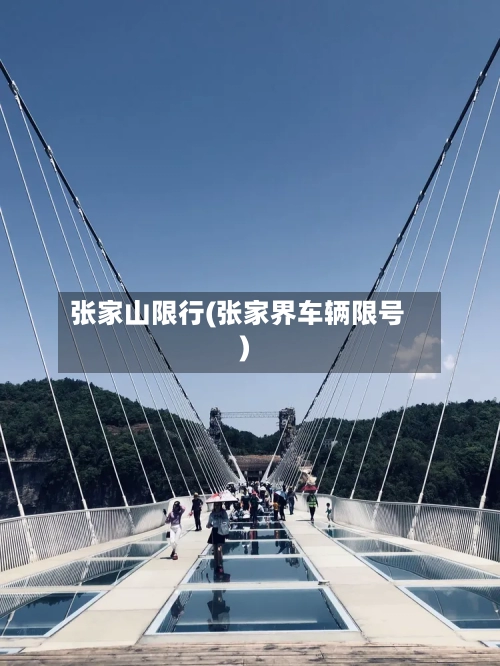 张家山限行(张家界车辆限号)