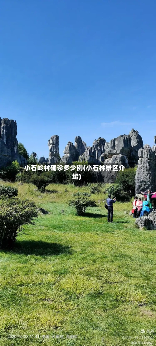 小石岭村确诊多少例(小石林景区介绍)-第1张图片