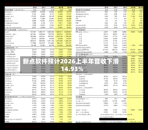 新点软件预计2026上半年营收下滑 14.93%-第3张图片