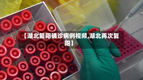 【湖北复阳确诊病例视频,湖北再次复阳】-第3张图片