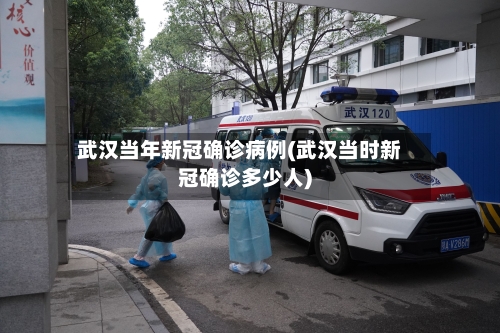 武汉当年新冠确诊病例(武汉当时新冠确诊多少人)-第2张图片