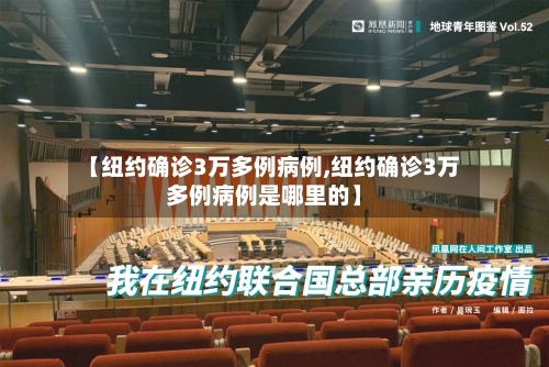 【纽约确诊3万多例病例,纽约确诊3万多例病例是哪里的】-第2张图片
