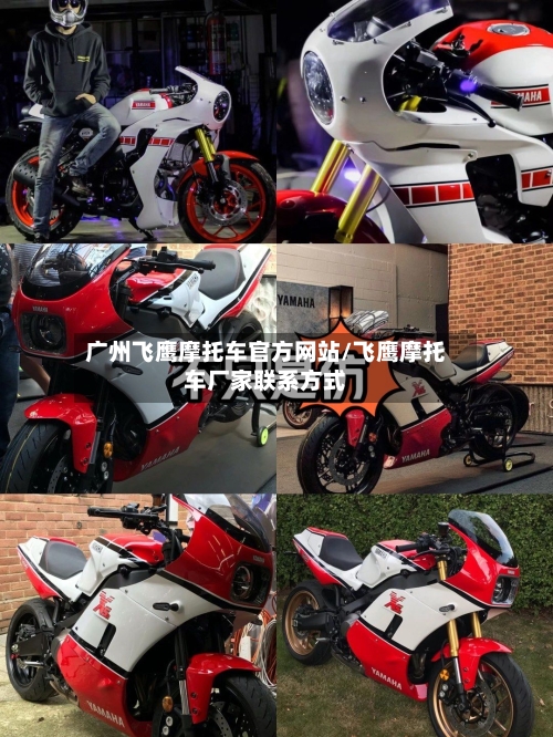 广州飞鹰摩托车官方网站/飞鹰摩托车厂家联系方式-第2张图片