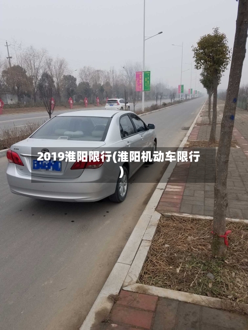 2019淮阳限行(淮阳机动车限行)