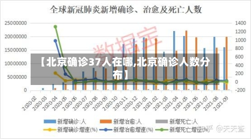 【北京确诊37人在哪,北京确诊人数分布】