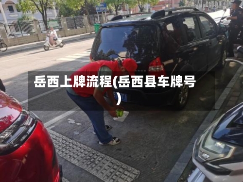 岳西上牌流程(岳西县车牌号)-第2张图片