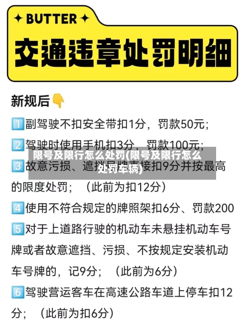 限号及限行怎么处罚(限号及限行怎么处罚车辆)-第2张图片