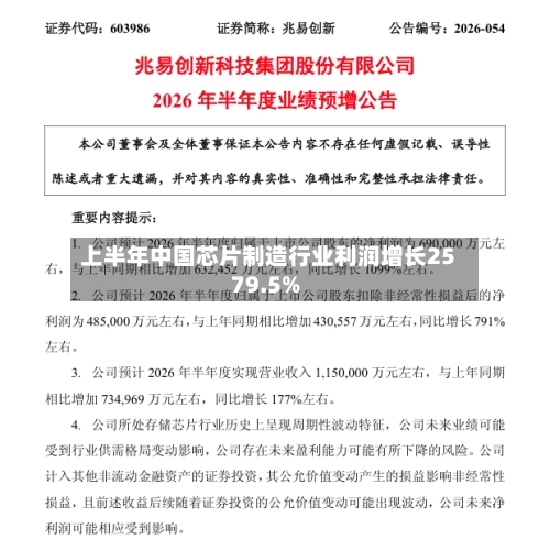 上半年中国芯片制造行业利润增长2579.5%-第2张图片