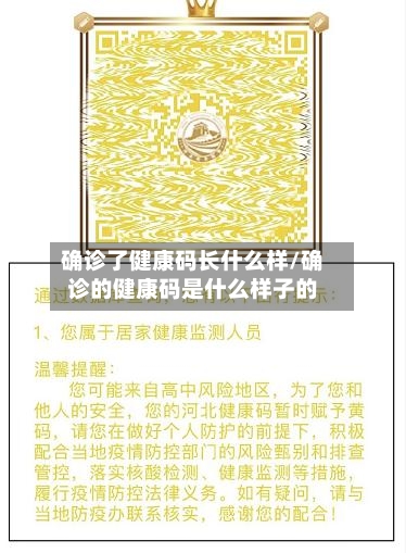 确诊了健康码长什么样/确诊的健康码是什么样子的