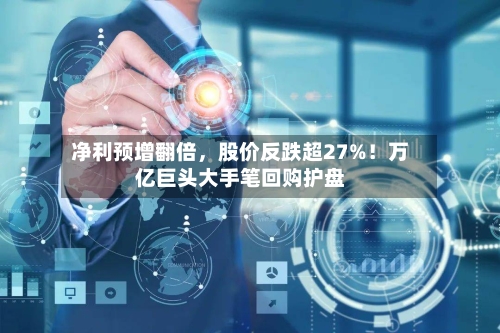 净利预增翻倍，股价反跌超27%！万亿巨头大手笔回购护盘-第2张图片