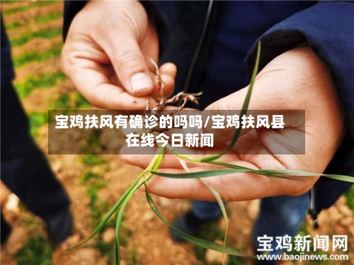 宝鸡扶风有确诊的吗吗/宝鸡扶风县在线今日新闻-第2张图片