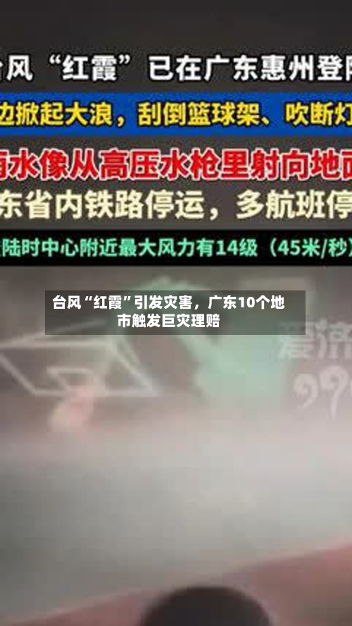 台风“红霞”引发灾害，广东10个地市触发巨灾理赔