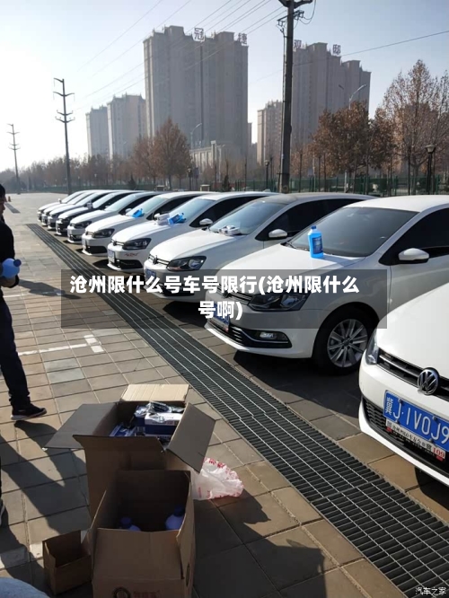 沧州限什么号车号限行(沧州限什么号啊)