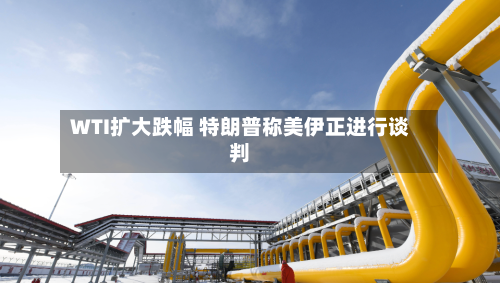 WTI扩大跌幅 特朗普称美伊正进行谈判-第3张图片